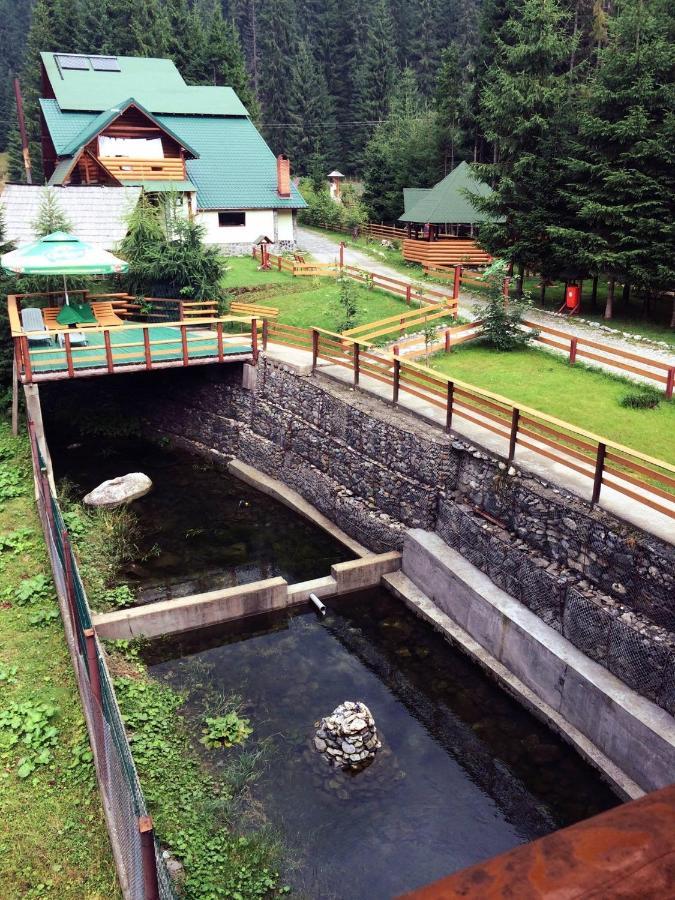 Pensiunea Vanatorul Обиршія-Лотрулуй Екстер'єр фото